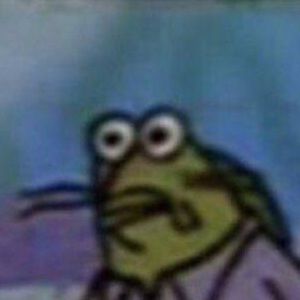 Meet your Posher, Rylan